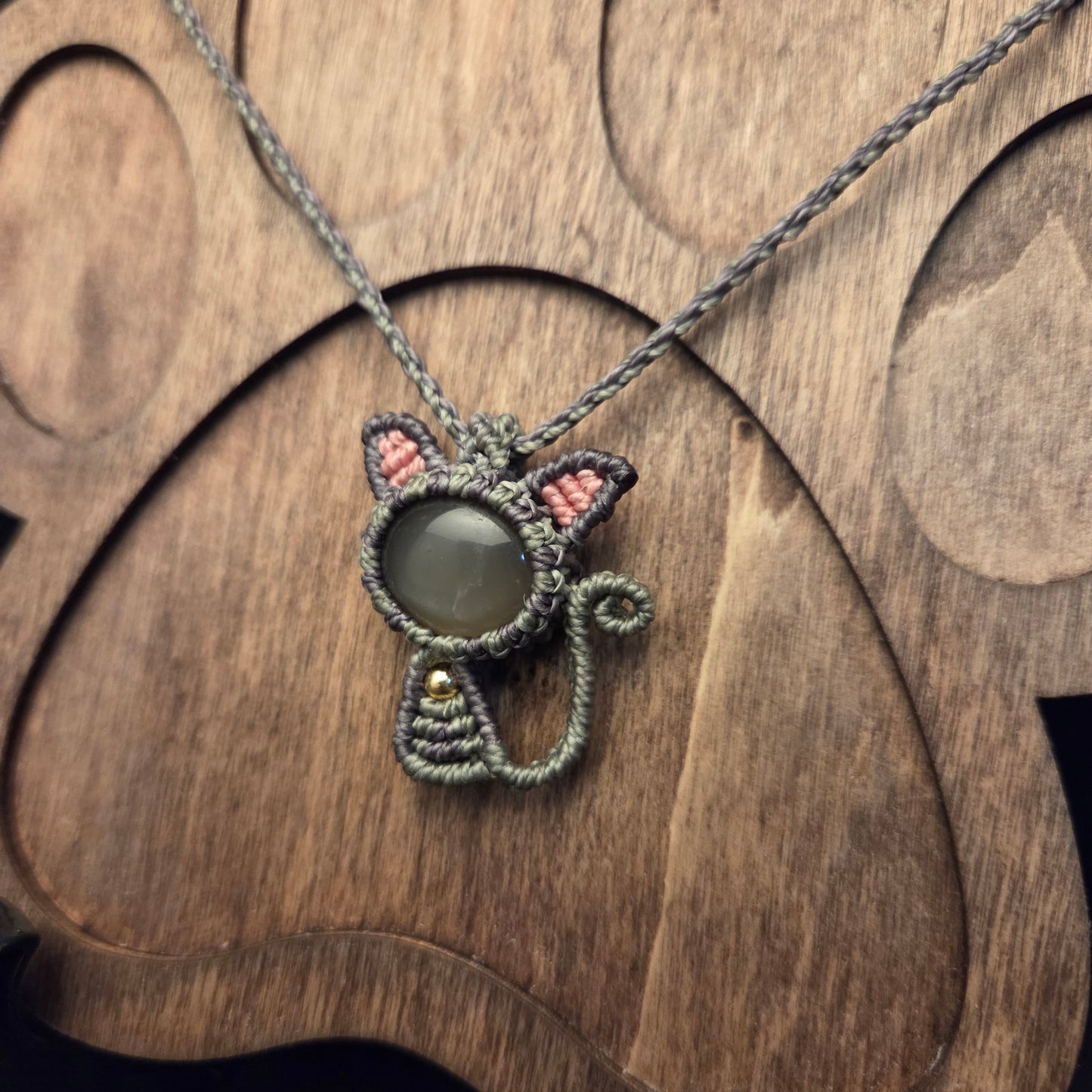 Grey Moon Tabby