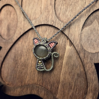 Grey Moon Tabby